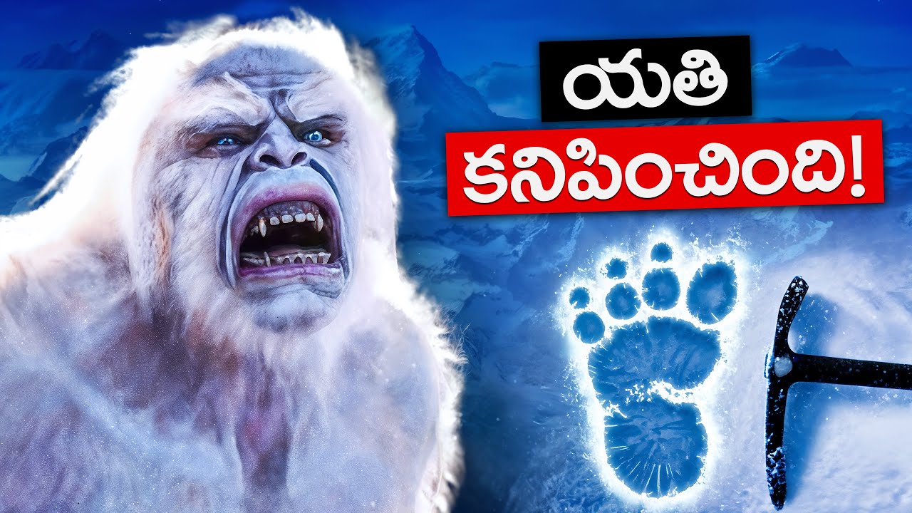 యతి రహస్యం ఛేదించబడింది! | The Mystery of Yeti Finally Solved!