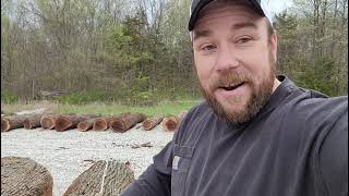 The story of the Timber Tracker app screenshot 4