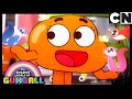 O otário | O Incrível Mundo de Gumball | Cartoon Network 🇧🇷