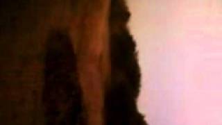 Video-0018.mp4