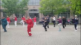 Lesson at the 27th Taiji Festival: First movements of Laojia Yi Lu (Chen style Taijiquan).
