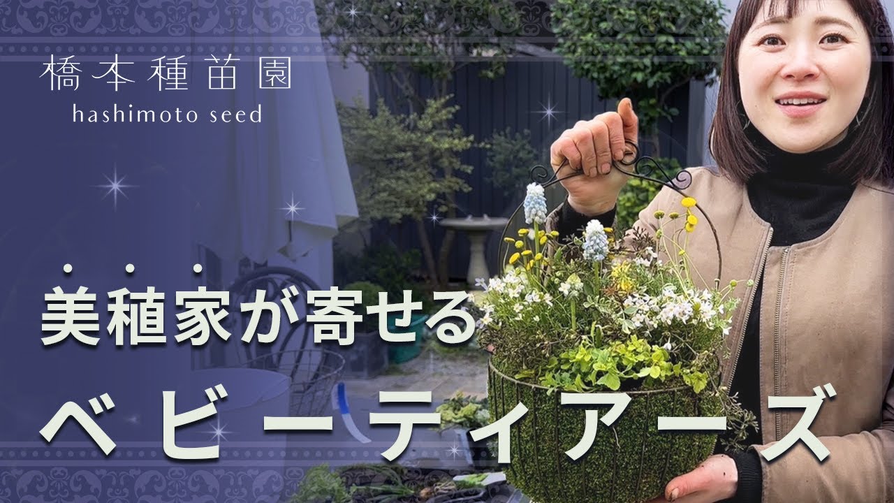 可愛い♡】ベビーティアーズシートを使った寄せ植え♪ - YouTube