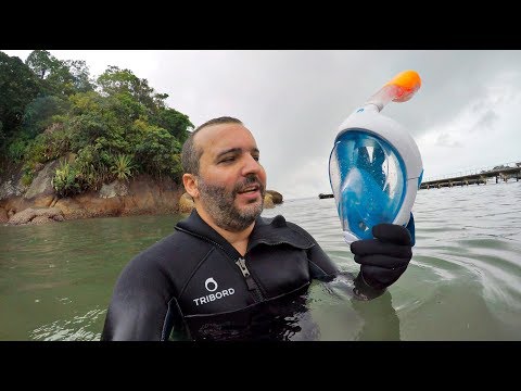 Tips and Alerts - Tribord Easybreath Dive Mask Review