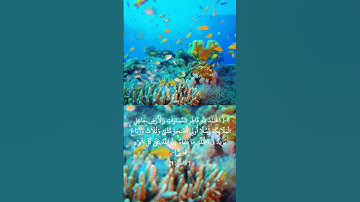 بصوت القارئ محمد أيوب .............الآية الأولى من سورة فاطر✨️✨️✨️✨️✨️✨️✨️✨️✨️