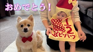 赤ちゃん想いのポメラニアンの行動が可愛過ぎました…