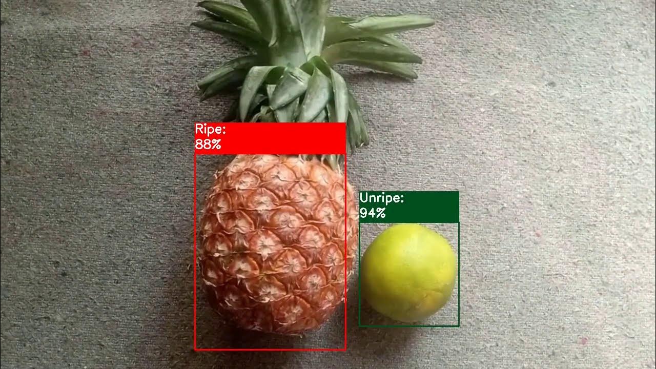 RIPENESS OF FRUIT DETECTION YouTube