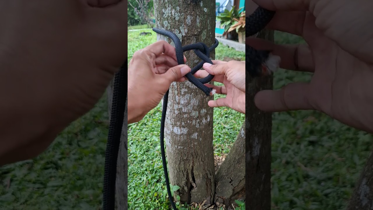 Amazing Knot in Our Daily Life! 