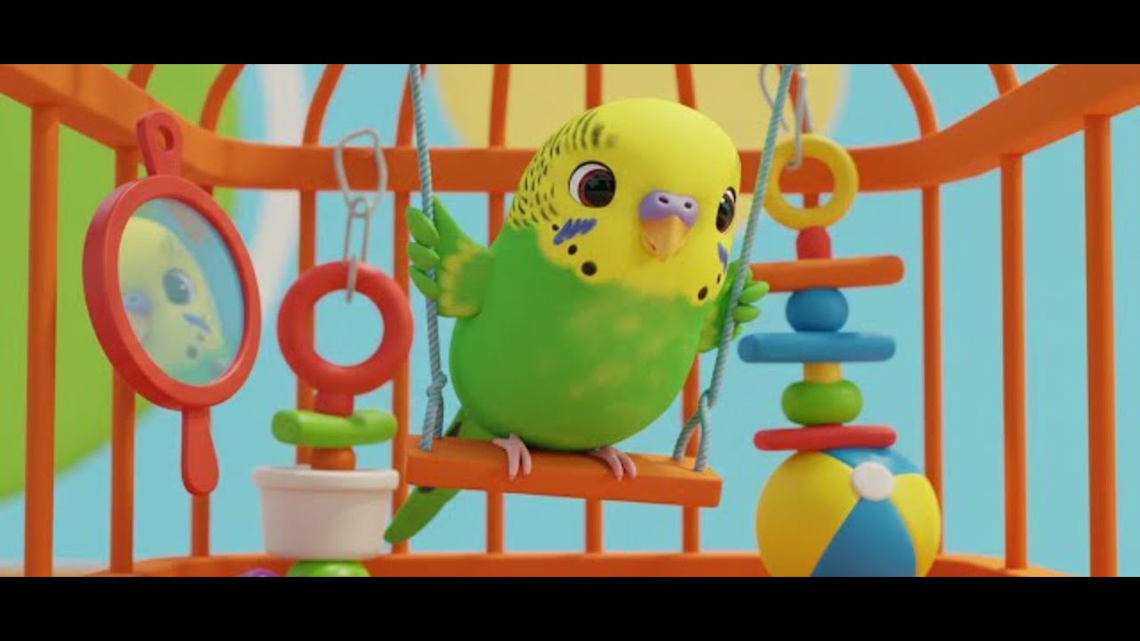 Muhabbet Kuşlarının Renkli Dünyası🐦💚 – Çocuklar İçin Eğitici