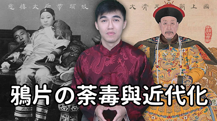 Samuel 达达山姆尔 | 慈禧太后带头吸！鸦片の荼毒与近代化 - 历史小教室 EP. 64 - 天天要闻
