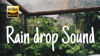 Rain Drop Sound  -  HD Video 1080p l High Quality Audio