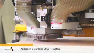 Three Anderson Fully Automated Nesting Lines Integrated with Barbaric CSF Material Storage System Wealth