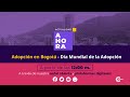 Adopción en Bogotá - Día Mundial de la Adopción | AHORA | ⭕ EN VIVO