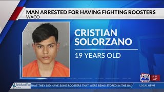 Man arrested for having fighting roosters and equipment