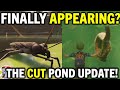 GROUNDED UPDATE WE NEVER SAW! Leech And Water Striders In Upper Pond 1.0? More Cut Content?