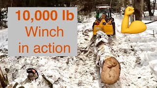 Pulling MONSTER white pines and cutting the next wave of pines for the shop build project.