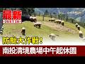 防颱大作戰！ 南投清境農場中午起休園【最新快訊】