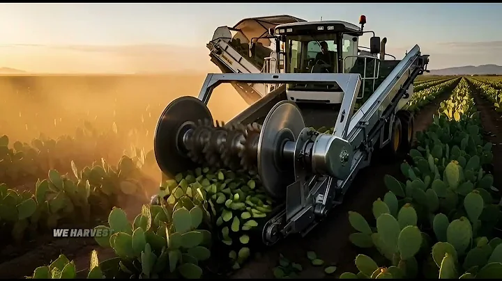 Turning CACTUS into LUXURY LEATHER? 🌵👜 (Satisfying Process)