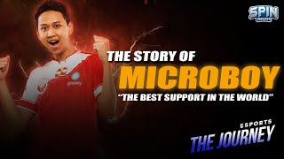 BTR MICROBOY - Awal mulai PRO PLAYER MLBB Hingga Menjadi Sukses Pro Scene PUBG MOBILE! - The Journey