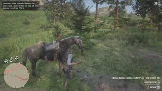 Compendium: Blackberry | Red Dead Redemption 2 (PS5)