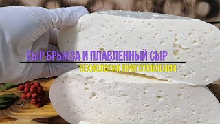 Как сделать Сыр брынза и Плавленный сыр / Соль плавитель, фермент и закваска для сыра ДАФЕРМА