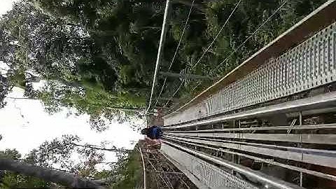 Xe trượt xuyên rừng Thác Datanla Đà Lạt