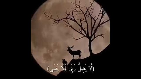 قَالَ فَمَنْ رَبُّكُمَا يَا مُوسَى | سورة طه | رعد محمد الكردي