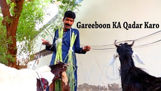 Download Lagu Qeemat Pooch K Tang Na Karo | Janwar Lo Or Qurbani Karo | Asghar Khoso MP3