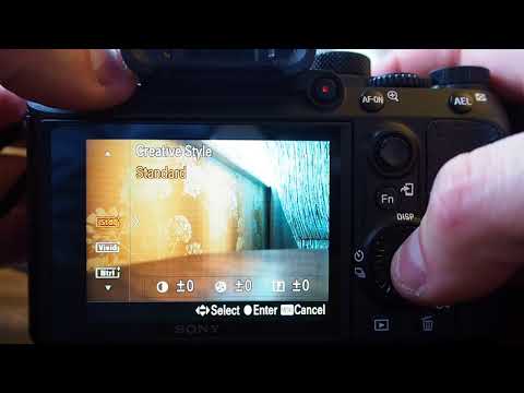 Sony Alpha A7 Mark III Menus (Options, Settings)