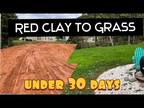 Red Clay to Grass in under 30 days. Here how to do it easy.