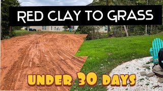 Red Clay to Grass in under 30 days. Here how to do it easy.