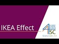 Understanding the IKEA Effect