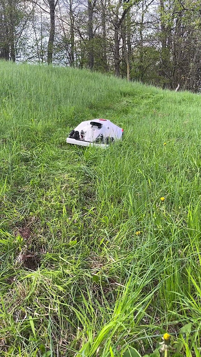 Mammotion LUBA 2 AWD 5000 goes dawn hill and stuck’s. #farming #robot #lawnmower #offroad