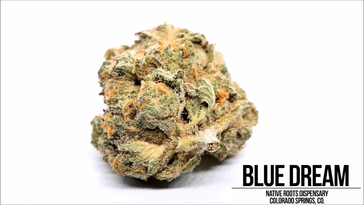 Blue Dream Flowers: Native Roots, Colorado Springs, CO.