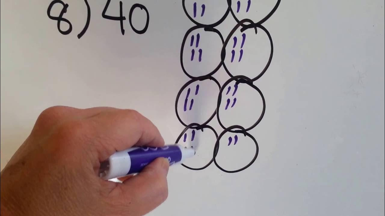 Grade 3 Math #7.8, How to Divide by 8 - YouTube