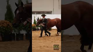 Congress 2025 - Amateur Showmanship