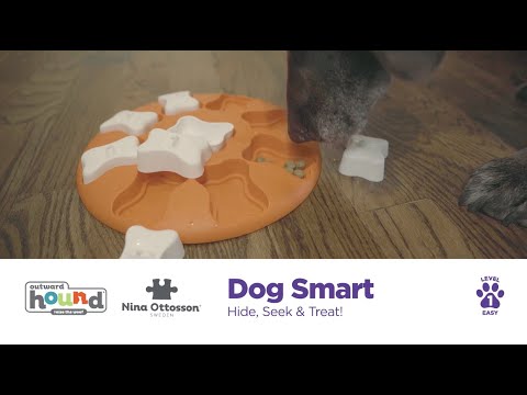 Nina Ottosson by Outward Hound Dog Smart Orange Interactive Treat Puzzle  Dog Toy