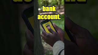 The $300/Year Trap: Unmasking Your Hidden Subscriptions