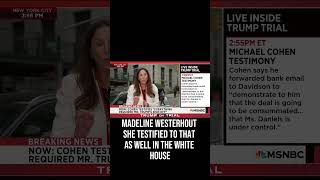 Yasmin Vossoughian on how Michael Cohen’s testimony ties the Trump trial together #shorts #biden2020