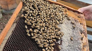 картинка: Така сім'я неперезимує Домашній точок 