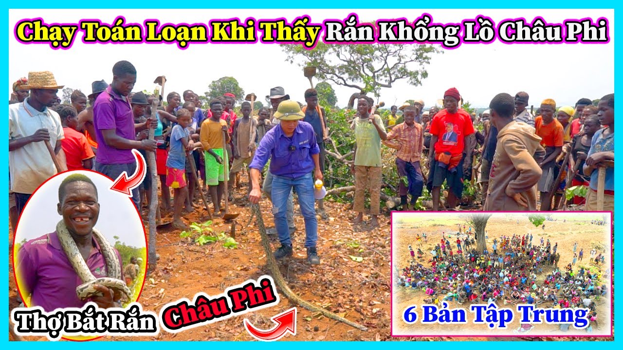 Hùng KaKa ll Xuất Hiện Rắn Khổng Lồ Dài Hơn 2m Làm Người Dân Chạy Toán Loạn Khi Đang Cuốc Đất - YouTube