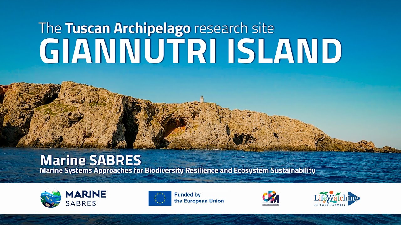 Tuscan archipelago: a focus on sustainable tourism and sea grass conservation