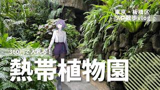 【Vlog】360円で入れる熱帯植物園をひとり散歩 【東京・板橋区】