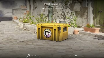 OPENING CASES CS2. DAY 146. RECOIL CASE.