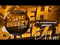 Jnr Sauro (Dhanyero) -  Maruza (Seh Breezy  Riddim) Prod By Dj Tarks - Zimdancehall 2023