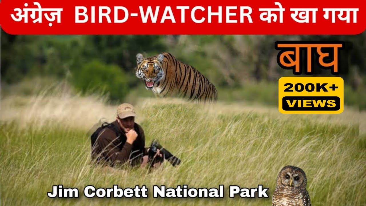 David Hunt-1985 की वो दिल दहला देने वाली घटना |Jim Corbett National Park |Dhikala |#facts #tiger