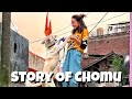 How chomu came in my life  storytime  ad193