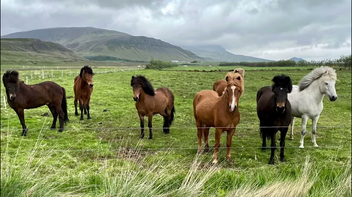 Iceland first days June 2021