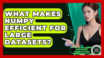 What Makes NumPy Efficient For Large Datasets? - AI and Machine Learning Explained