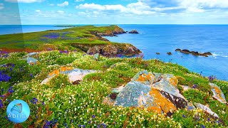 Muzică Terapeutică Ce Aduce Conectare Cu Sinele Superior Și Curăță Aura De Energii Negative