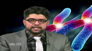 Extra-chromosomal inheritance